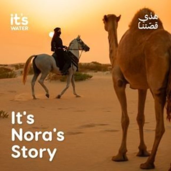 Royal Highness Ladies Zip Up Fitted Western Show Shirt (video) - Picture 8 of 17